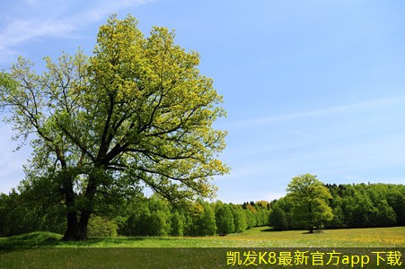 網(wǎng)絡(luò)布線的安全隱患及應(yīng)對措施
