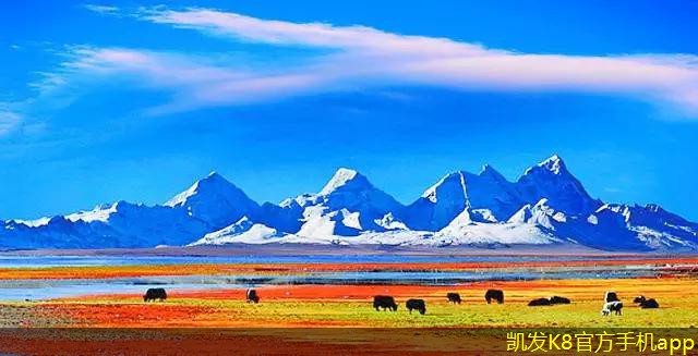 網(wǎng)絡(luò)布線的未來(lái)發(fā)展趨勢(shì)