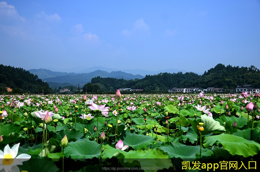 背景音樂(lè)與品牌忠誠(chéng)度的關(guān)系