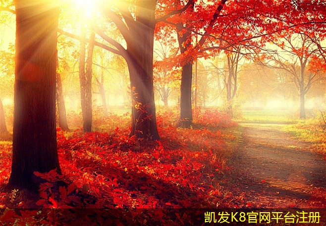 背景音樂在婚禮中的完美搭配