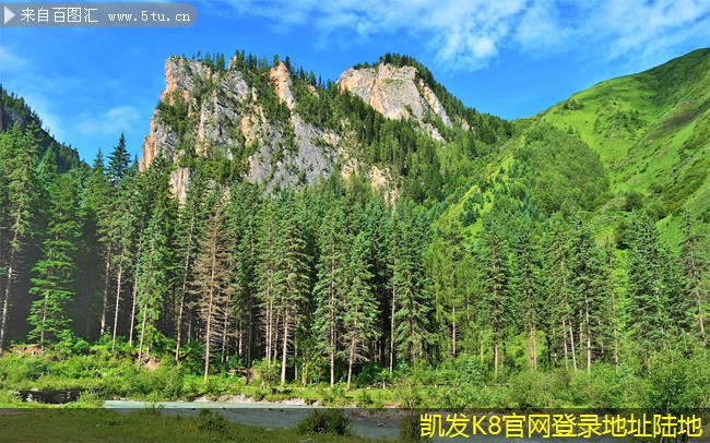 視頻會議中的技術(shù)故障處理指南