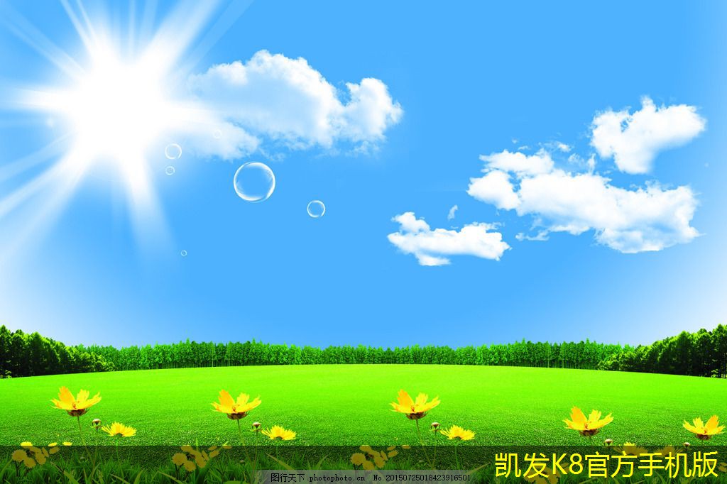視頻會(huì)議中的數(shù)據(jù)隱私保護(hù)措施