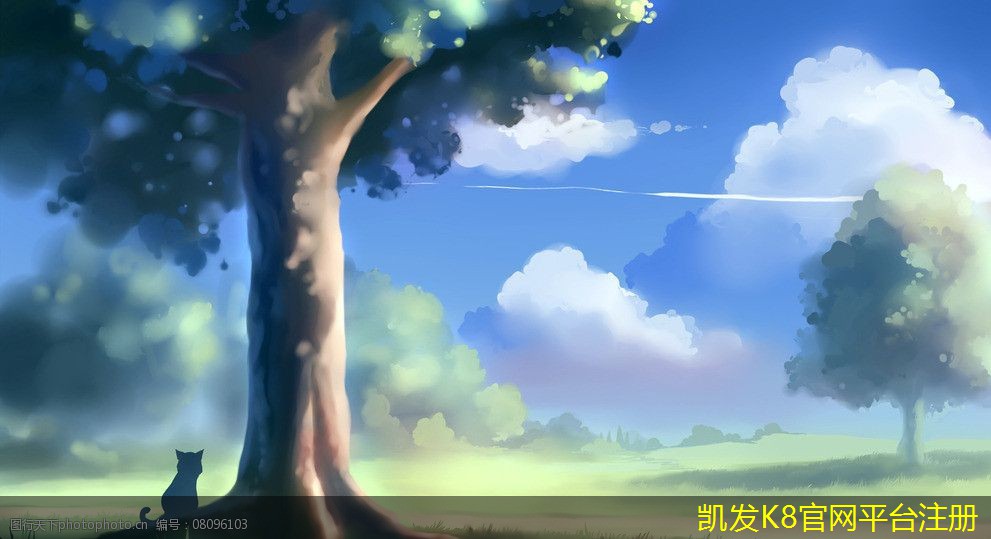 視頻會(huì)議中的禮儀與注意事項(xiàng)