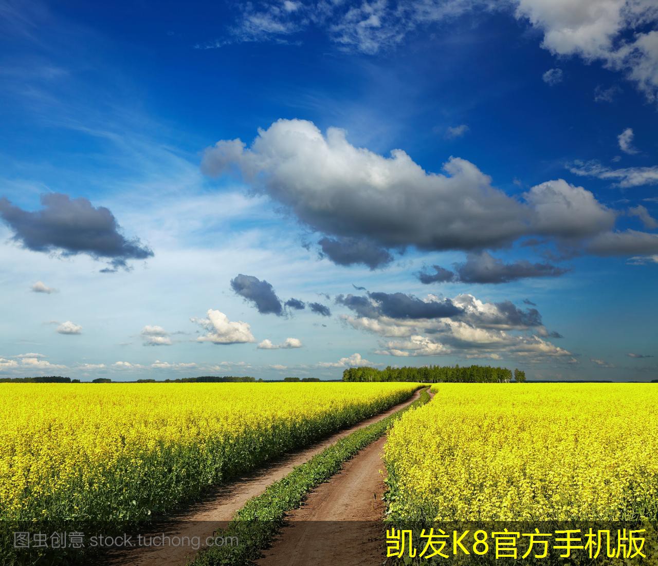 視頻會(huì)議中的禮儀與注意事項(xiàng)
