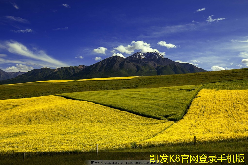 視頻會議中的領(lǐng)導(dǎo)力表現(xiàn)