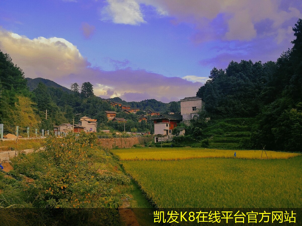視頻會(huì)議改變了我們的工作方式