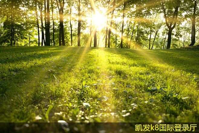 門(mén)禁考勤在校園管理中的重要性