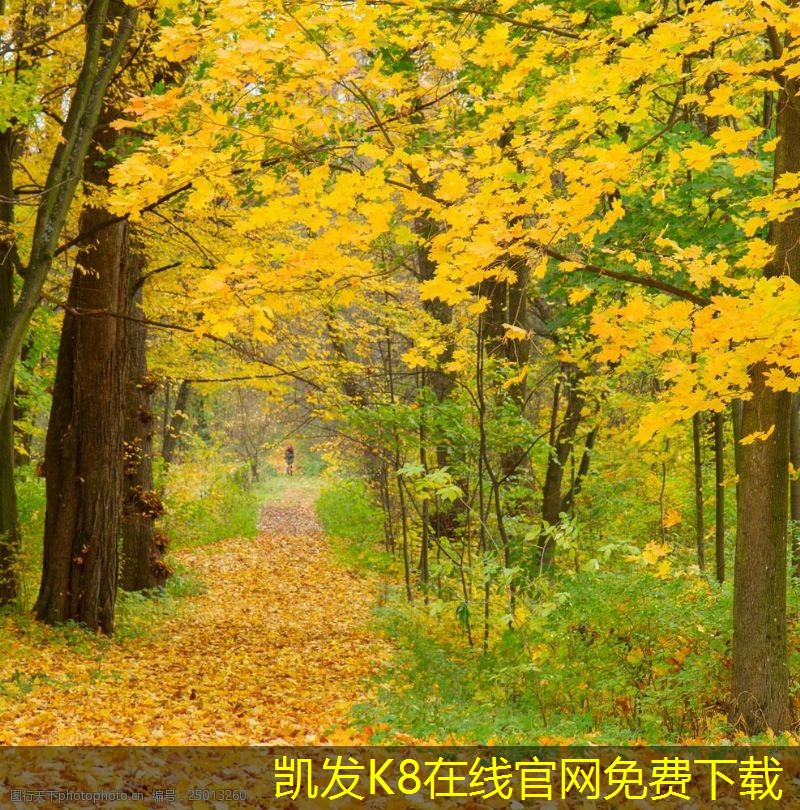 門禁考勤系統(tǒng)的實(shí)施步驟與注意事項(xiàng)