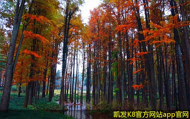 集團(tuán)電話在非營(yíng)利組織中的應(yīng)用