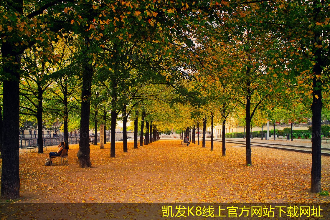 集團電話的市場競爭現(xiàn)狀